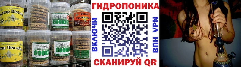 Canna-Cookies марихуана  Новая Ладога 